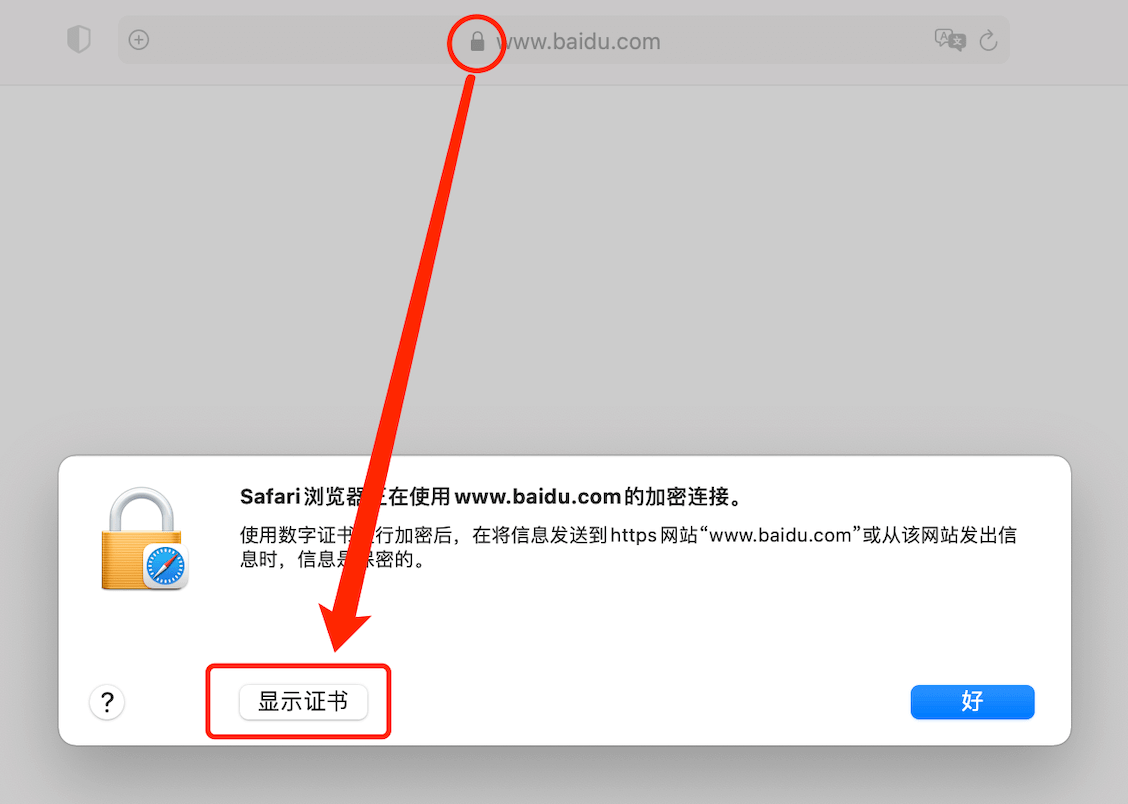 Safari 浏览器：显示证书